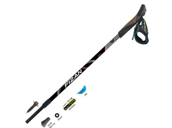 Pareja de bastones Fizan Nordic Walking Speed Violeta