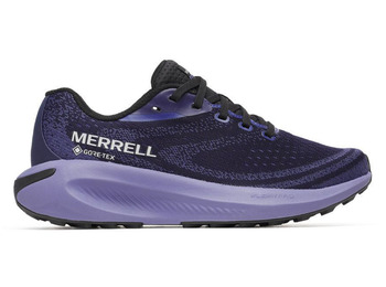 Zapatilla Merrell Morphlite GTX W Vino