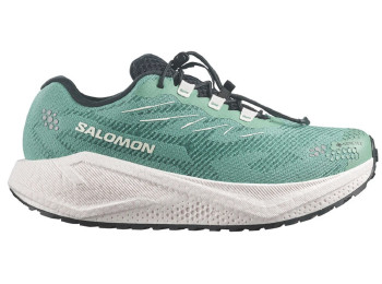 Zapatilla Salomon Aero Blaze 4 GRVL GTX W Verde