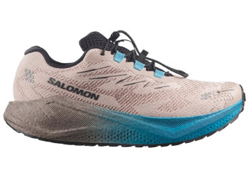 Zapatilla Salomon Aero Blaze GRVL GTX Beige/Azul