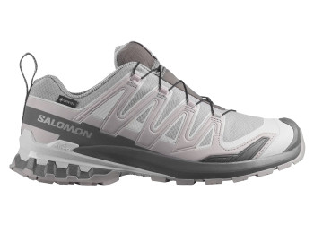 Zapatilla Salomon XA PRO 3D V9 GTX Gris