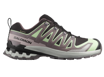 Zapatilla Salomon XA PRO 3D V9 GTX W Negro/Verde