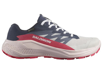 Zapatillas Salomon Alphaglide GTX W Gris/Negro/Fucsia
