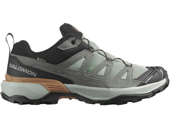 Zapatillas Salomon X Ultra 360 LTR GTX Gris