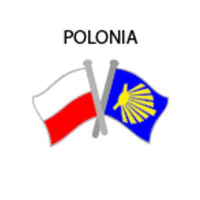 Pin Metal Bandera Polonia Camino Santiago