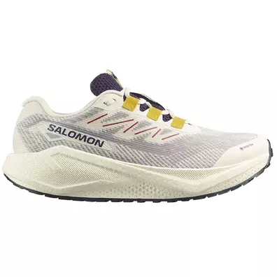 Zapatilla Salomon Aero Blaze 3 GRVL GTX Blanco/Azul
