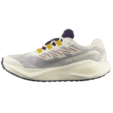 Zapatilla Salomon Aero Blaze 3 GRVL GTX Blanco/Azul