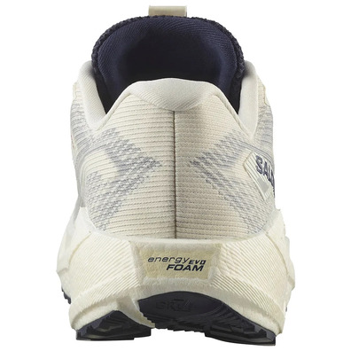 Zapatilla Salomon Aero Blaze 3 GRVL GTX Blanco/Azul