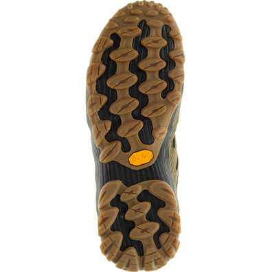 Zapatilla Merrell Cham 7 GTX Marrón Oliva