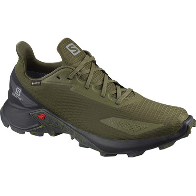 Zapatilla Salomon Alphacross Blast GTX Verde