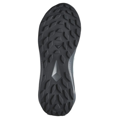 Zapatilla Salomon Alphaglide GTX W Gris/Aguamarina