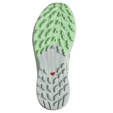 Zapatilla Salomon Sense Ride 5 W Verde