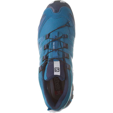 Zapatillas Salomon Xa Pro 3D GTX Azul