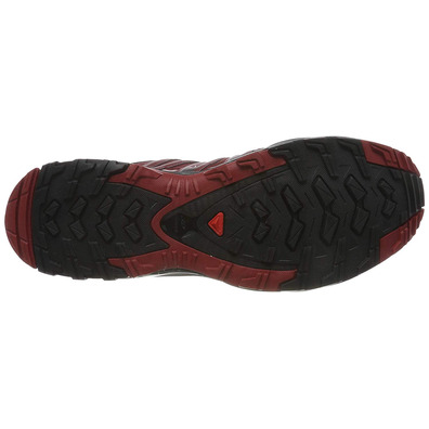 Zapatillas Salomon XA Pro 3D GTX Rojo/Negro/Gris