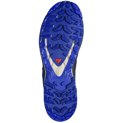 Zapatilla Salomon XA PRO 3D V9 GTX Azul