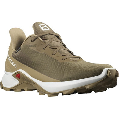 Zapatillas Salomon Alphacross 3 GTX Marrón/Beige