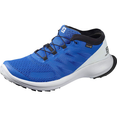 Zapatillas Salomon Sense Flow GTX Azul