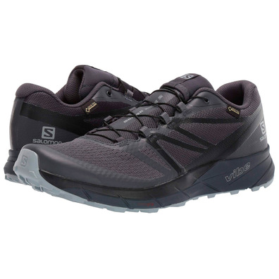 Zapatillas Salomon Sense Ride 2 GTX Negro