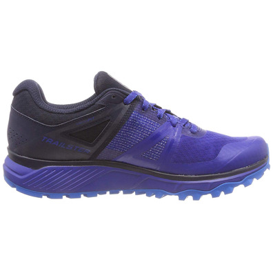 Zapatillas Salomon Trailster GTX Azul/Marino