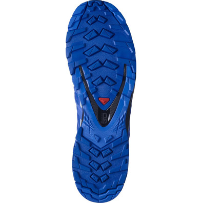 Zapatillas Salomon XA PRO 3D V8 GTX Azul/Gris