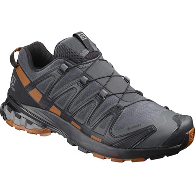 Zapatillas Salomon XA PRO 3D V8 GTX Gris