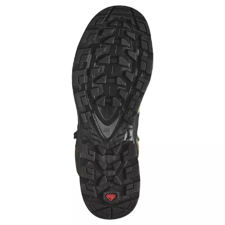 Bota Salomon Quest 4 GTX Negro/Marrón