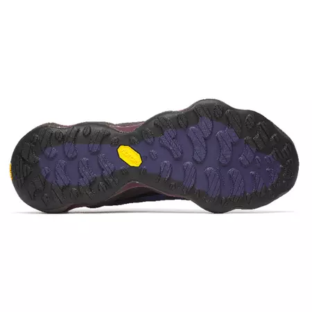 Zapatilla Merrell Speedarc Matis GTX W Vino