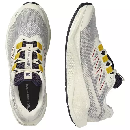 Zapatilla Salomon Aero Blaze 3 GRVL GTX W Blanco/Azul