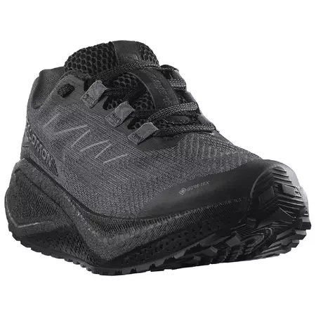 Zapatilla Salomon Aero Blaze 3 GRVL GTX W Negro