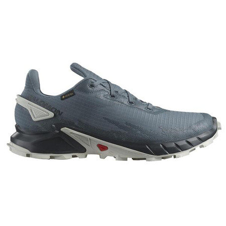 Zapatilla Salomon Alphacross 4 GTX Gris