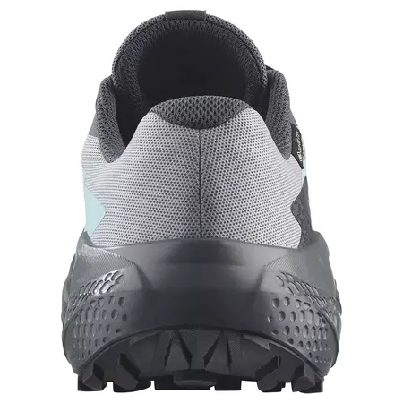 Zapatilla Salomon Alphaglide GTX W Gris/Aguamarina