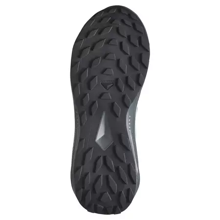 Zapatilla Salomon Alphaglide GTX W Gris/Aguamarina