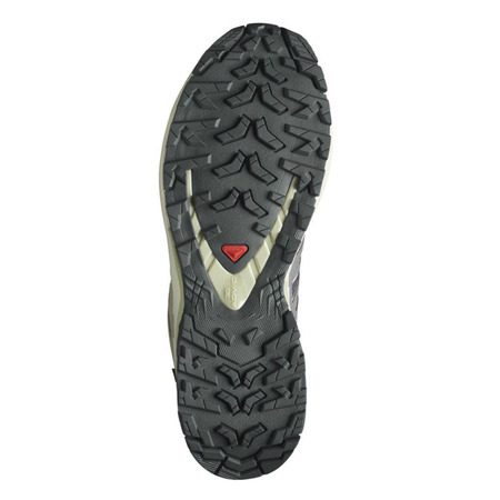 Zapatilla Salomon XA PRO 3D GTX W Violeta/Beige