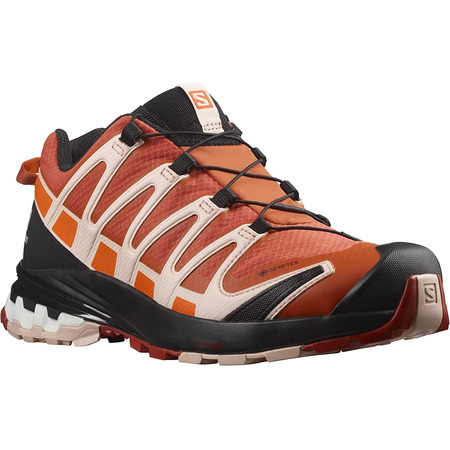 Zapatilla Salomon XA PRO 3D V8 GTX W Salmón