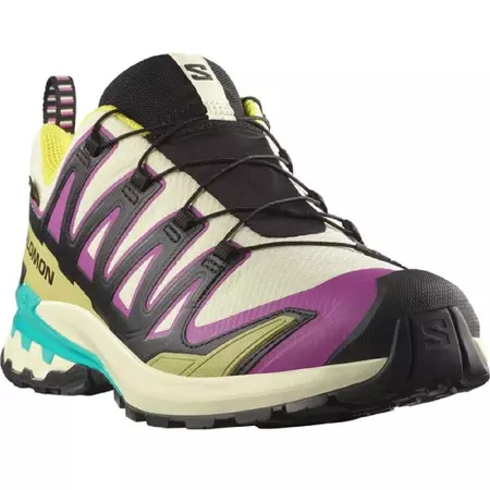 Zapatilla Salomon XA PRO 3D V9 GTX Multicolor