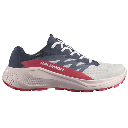 Zapatillas Salomon Alphaglide GTX W Gris/Negro/Fucsia