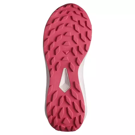 Zapatillas Salomon Alphaglide GTX W Gris/Negro/Fucsia