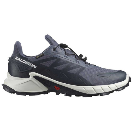 Zapatillas Salomon Supercross 4 GTX Gris