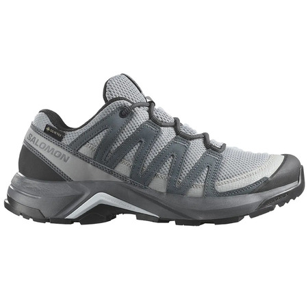 Zapatillas Salomon X-Adventure Recon GTX W Gris