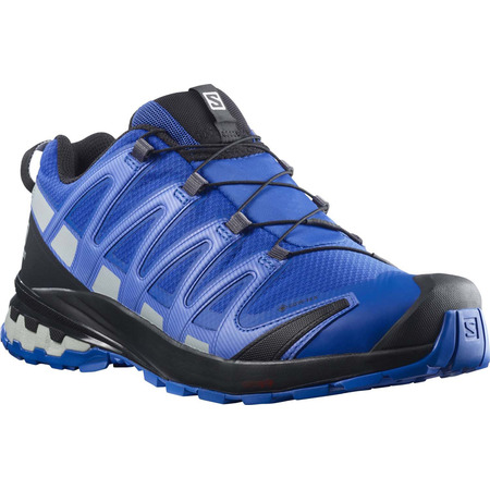 Zapatillas Salomon XA PRO 3D V8 GTX Azul/Gris