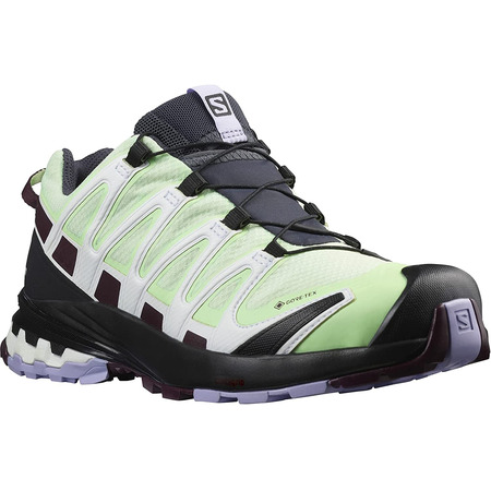 Zapatillas Salomon XA PRO 3D V8 GTX W Verde/Violeta
