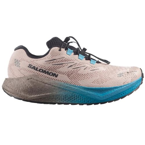 Zapatilla Salomon Aero Blaze GRVL GTX Beige/Azul