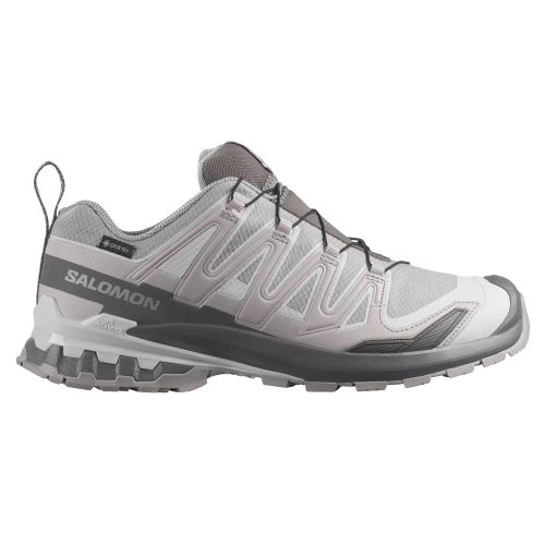 Zapatilla Salomon XA PRO 3D V9 GTX W Gris