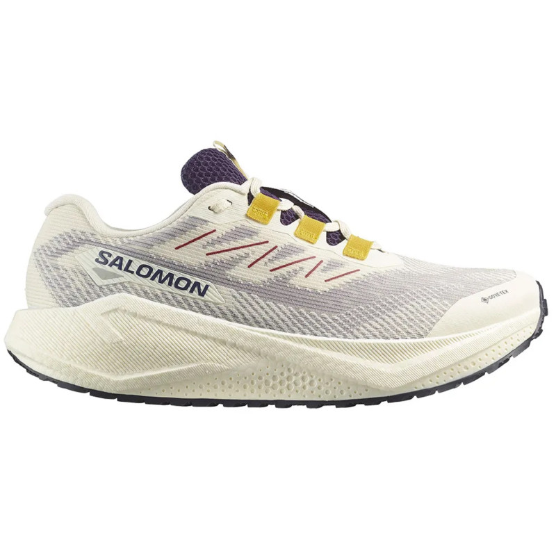 Zapatilla Salomon Aero Blaze 3 GRVL GTX Blanco/Azul