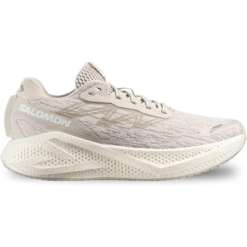 Zapatilla Salomon Aero Glide 4 Beige