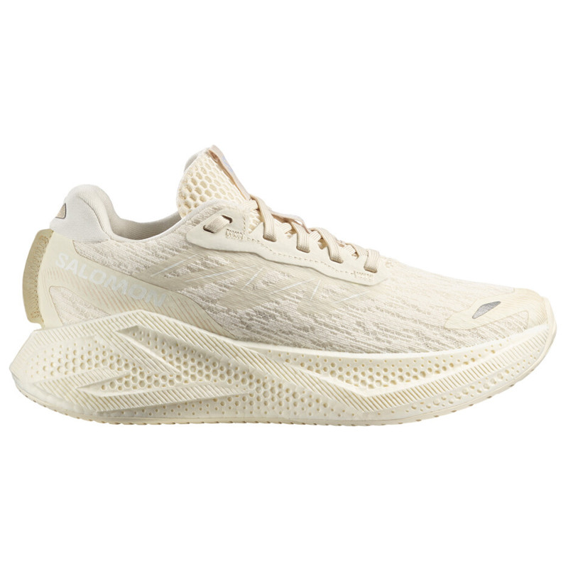 Zapatilla Salomon Aero Glide 4 W Beige