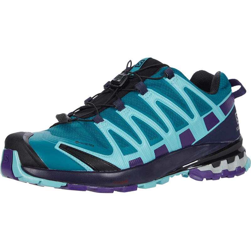 Zapatilla Salomon XA PRO 3D V8 GTX Aguamarina/Violeta