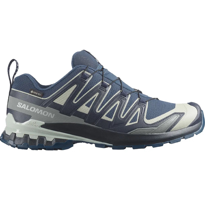 Zapatilla Salomon XA PRO 3D V9 GTX Azul Mar/Gris