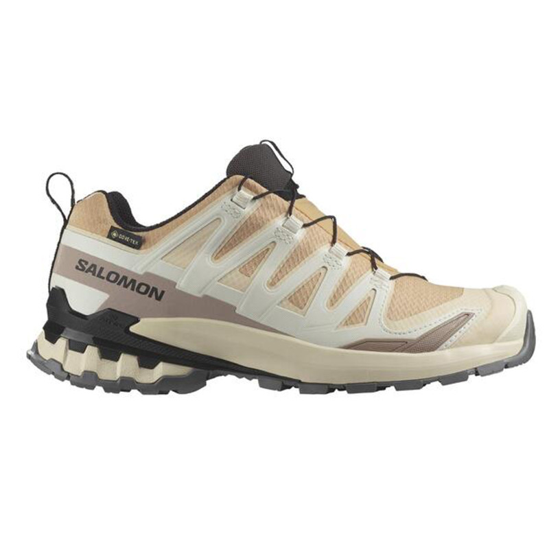 Zapatilla Salomon XA Pro 3D V9 GTX W Beige/Marrón