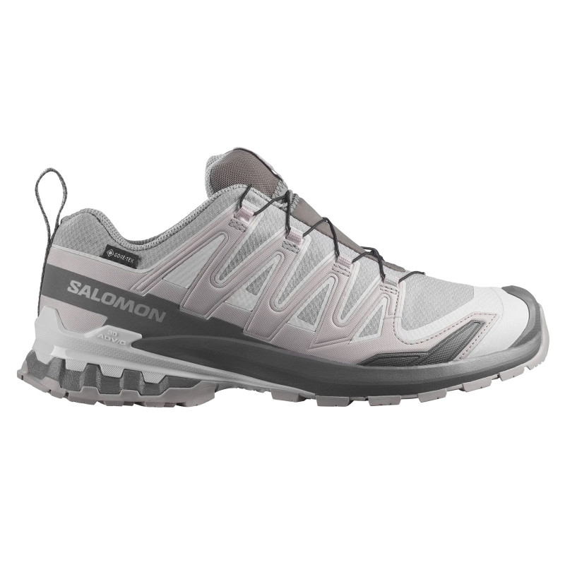 Zapatilla Salomon XA PRO 3D V9 GTX W Gris
